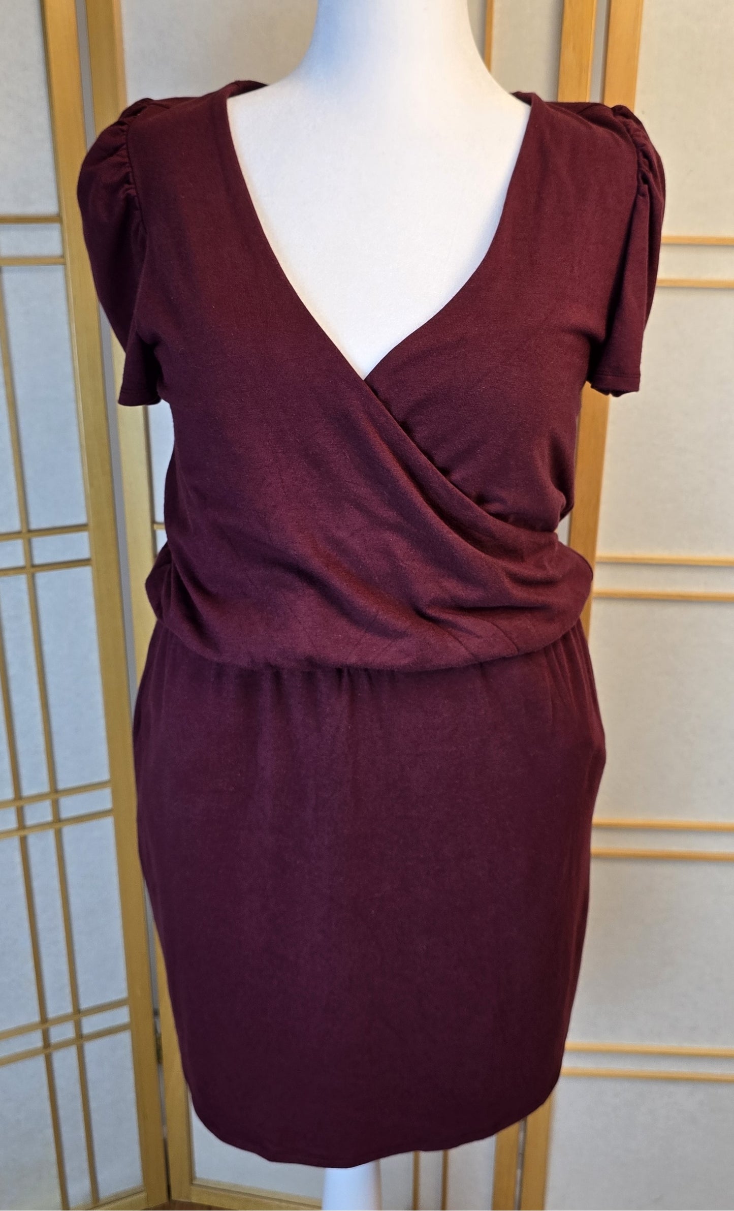 Smash + Tess V Neck Dress Large Preloved