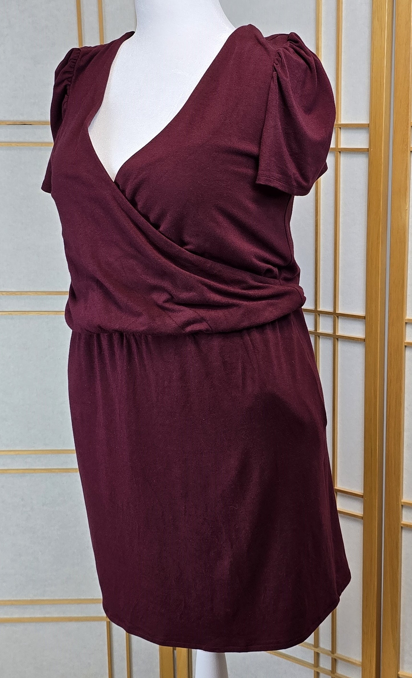 Smash + Tess V Neck Dress Large Preloved