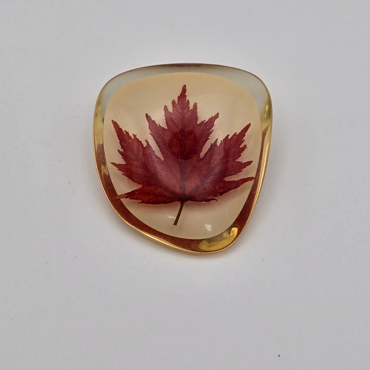 Vintage Canadian Maple Leaf in Lucite Pin