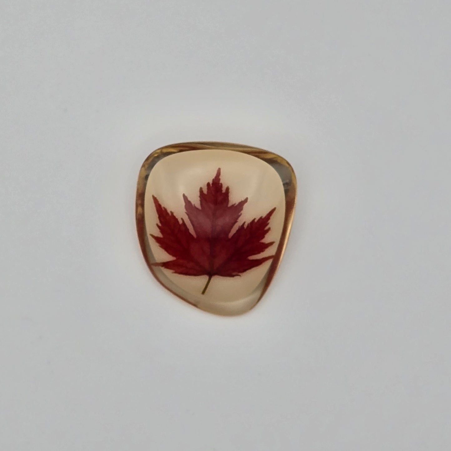 Vintage Canadian Maple Leaf in Lucite Pin