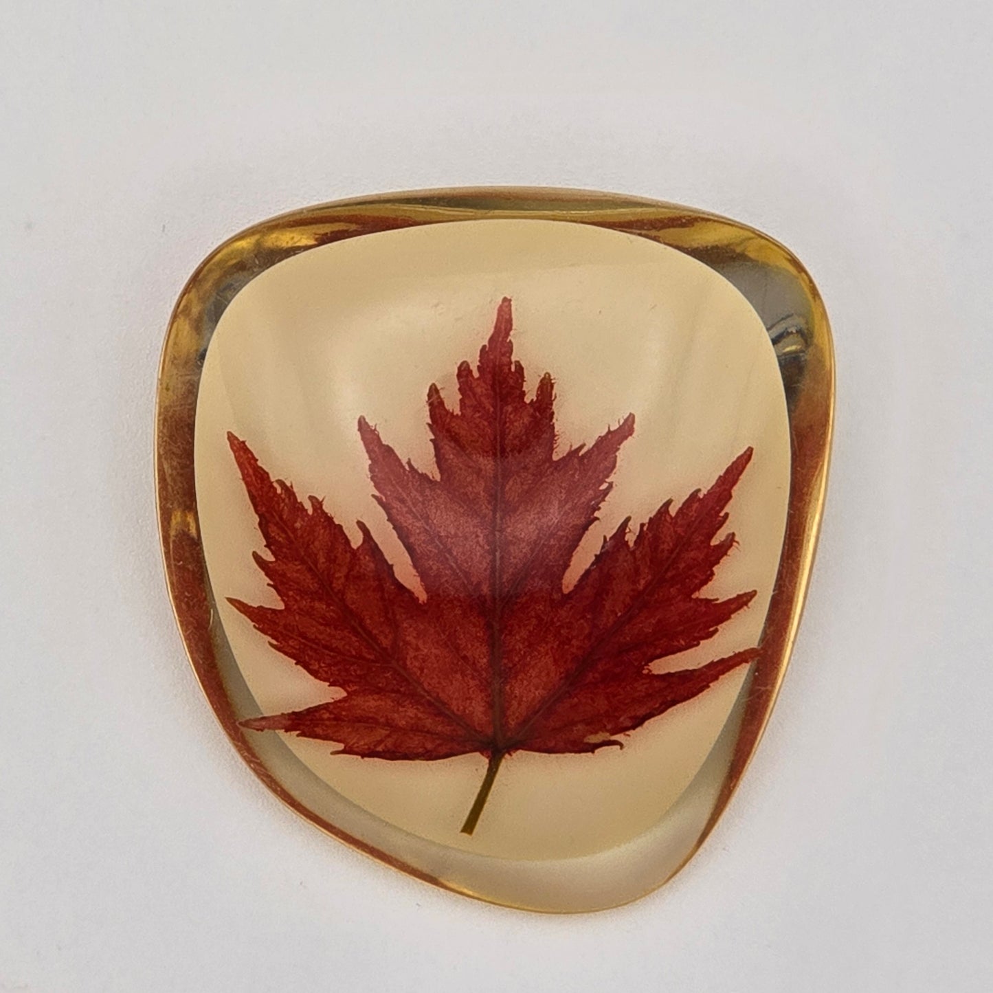 Vintage Canadian Maple Leaf in Lucite Pin