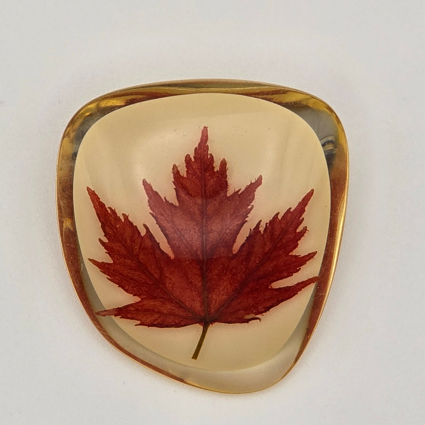 Vintage Canadian Maple Leaf in Lucite Pin