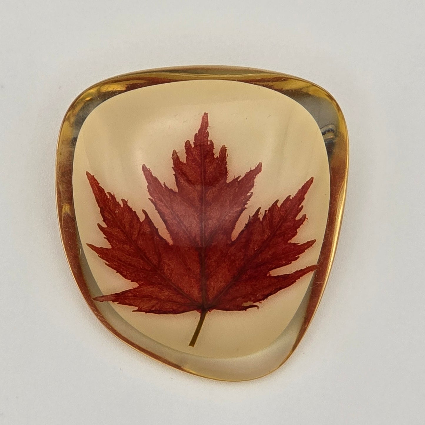 Vintage Canadian Maple Leaf in Lucite Pin