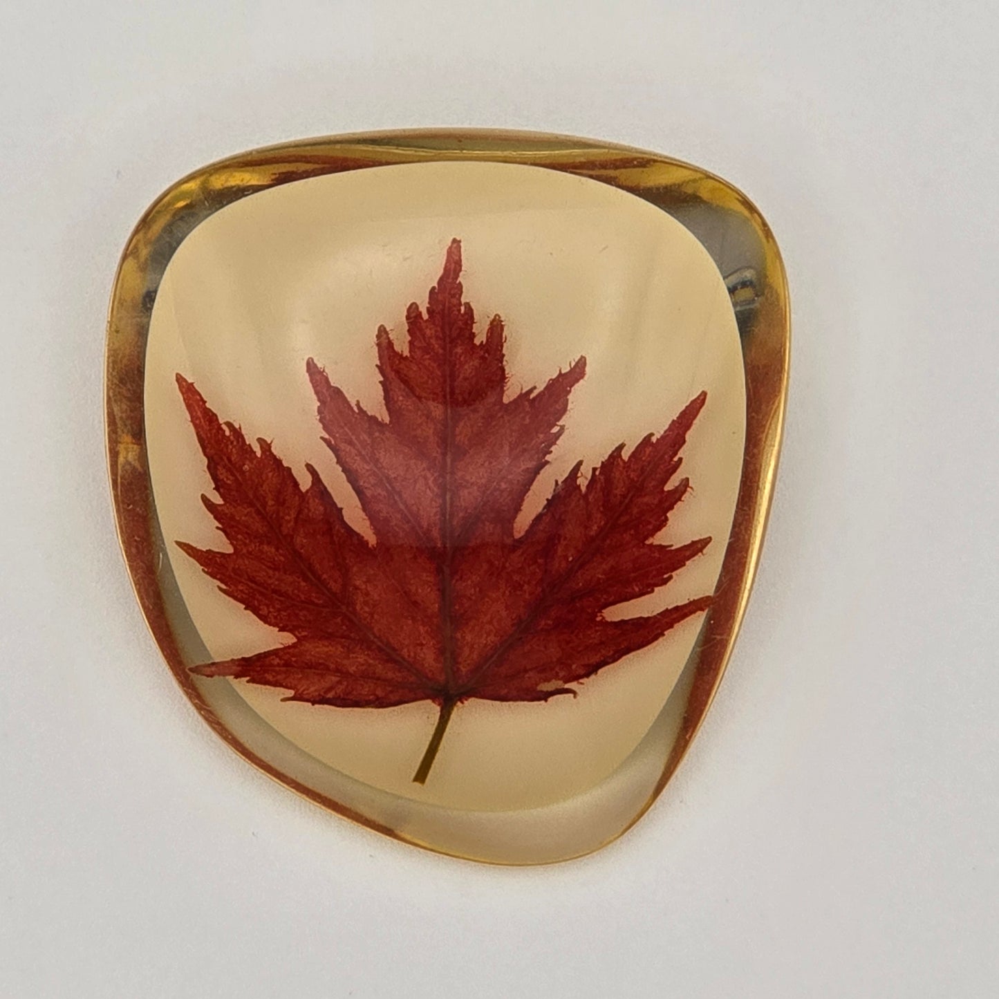 Vintage Canadian Maple Leaf in Lucite Pin