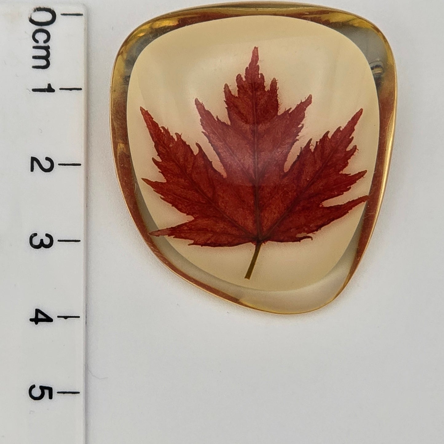 Vintage Canadian Maple Leaf in Lucite Pin