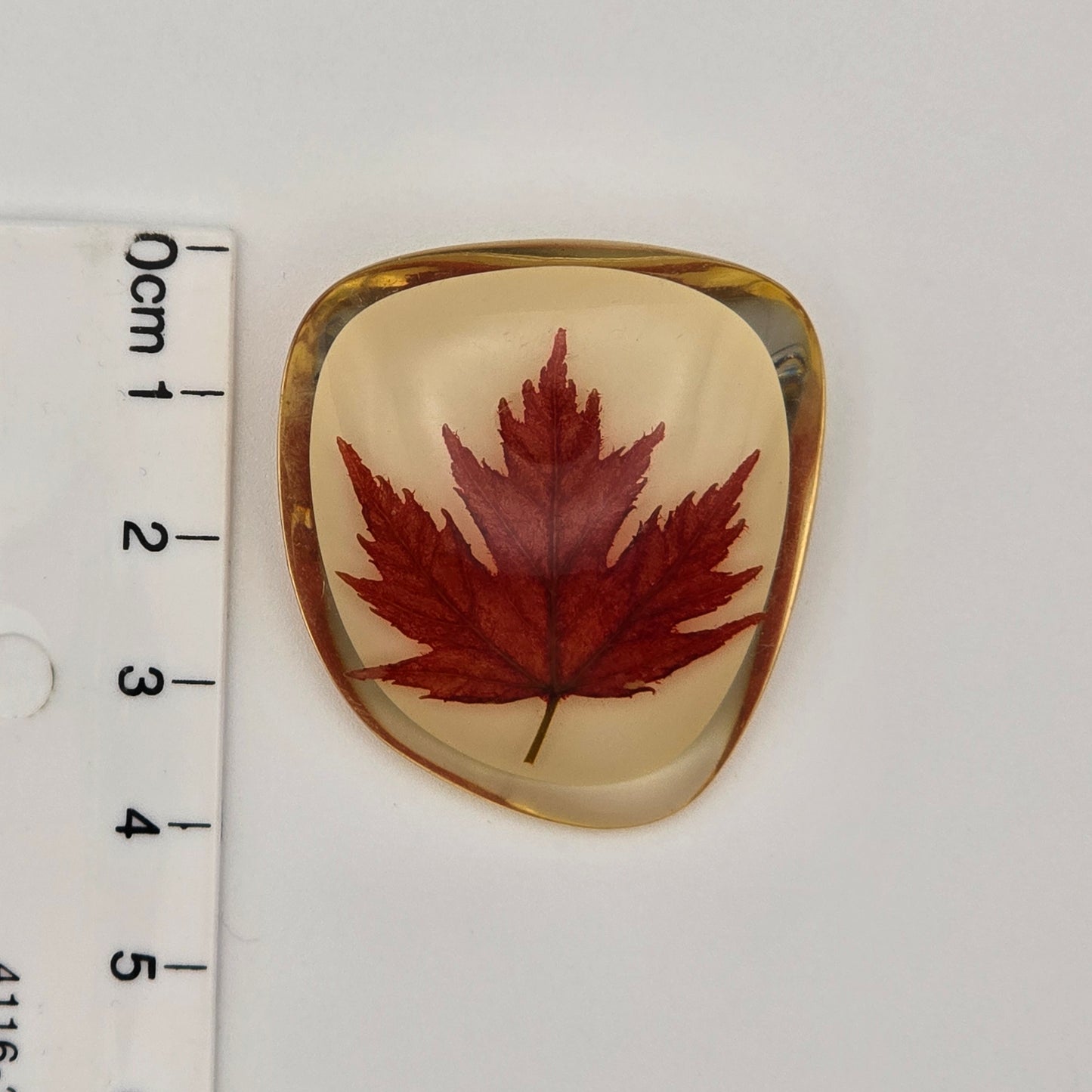 Vintage Canadian Maple Leaf in Lucite Pin